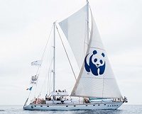 Blue Panda Geliyor!